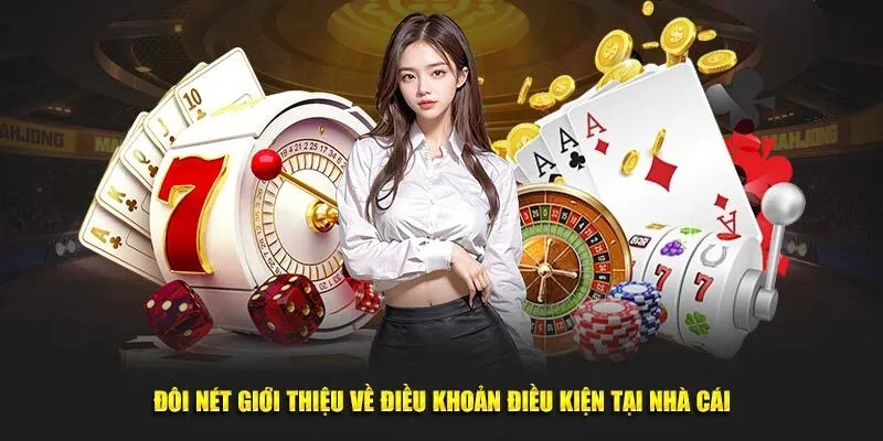 Đôi nét về điều kiện điều khoản