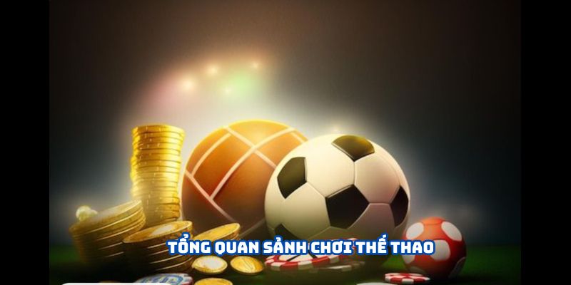 Tổng quan sảnh chơi thế thao